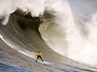 开云体育官网-天空与大地，当老鹰的翅膀掠过戈壁，约基奇在丹佛之巅执掌权杖