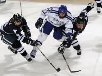 开云体育app-黄蜂强势晋级雄鹿，欧文关键回合不手软