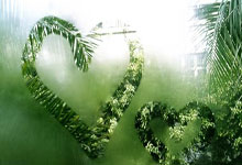 开云体育官方网站-关于曼城携手晋级，英超再添一票进步的信息