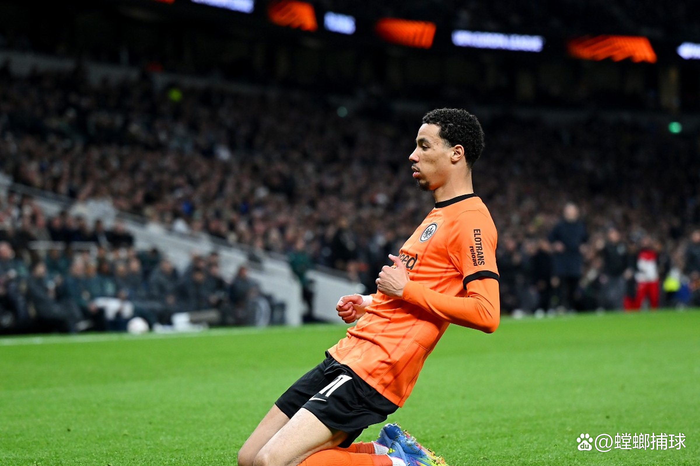 法兰克福法兰克福队增添新血，带来惊喜表现的简单介绍