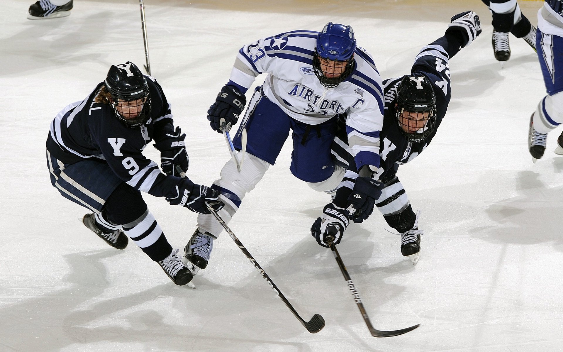 舞台越大，福克斯越强，灰熊对阵森林狼的季后赛启示
