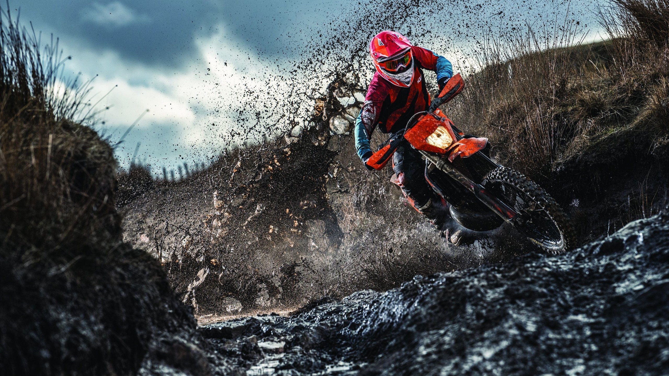 2026世界杯之夜,当詹姆斯在进攻端成为无解方程式